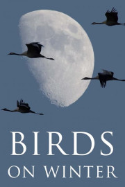 The Birds of Winter