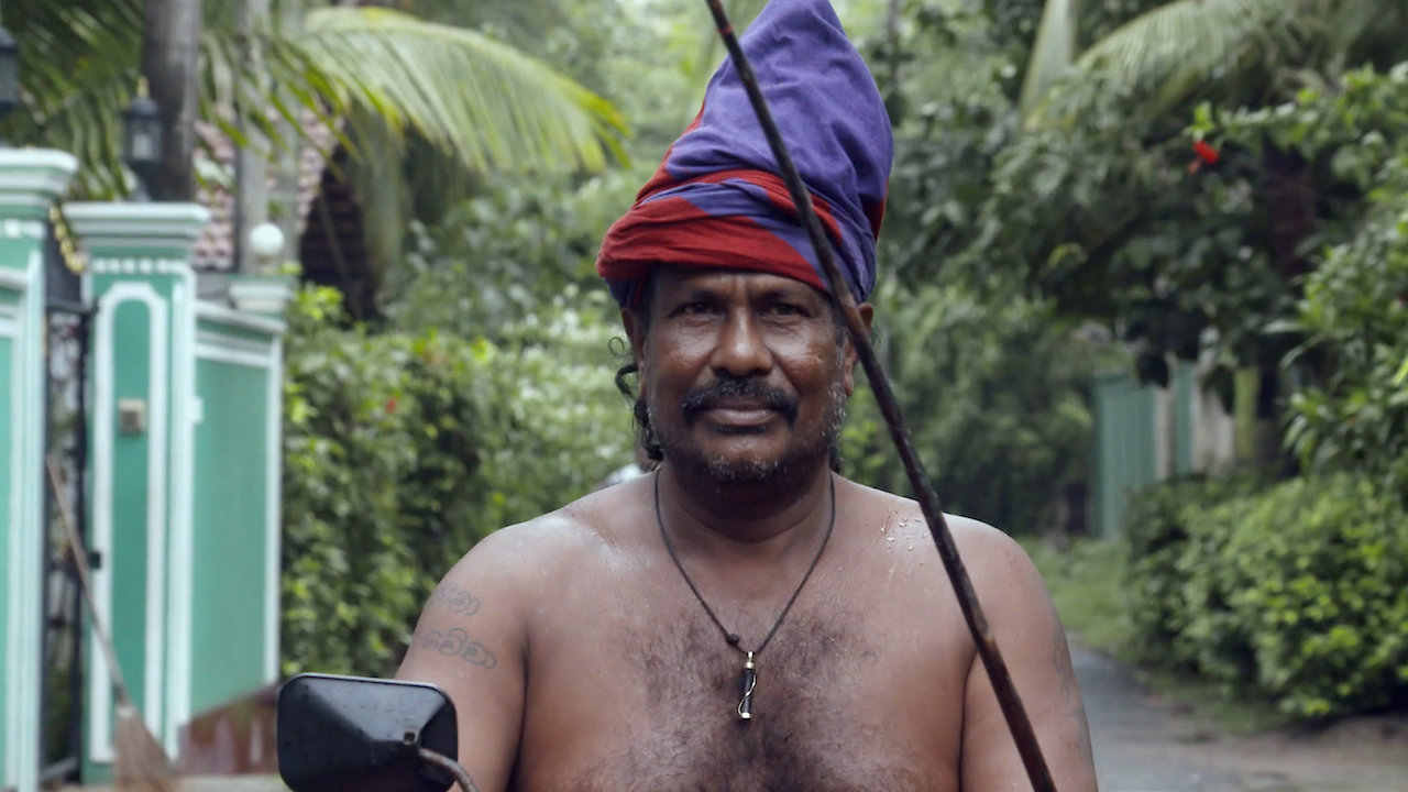 Sri Lanka - Tropics, Temples, and Tea Plantations