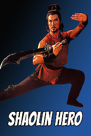 Shaolin Hero