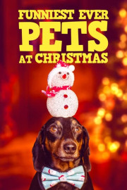 Funniest Ever Pets at Christmas