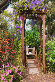 Whimsical Garden