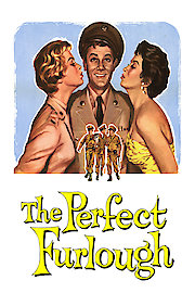 The Perfect Furlough