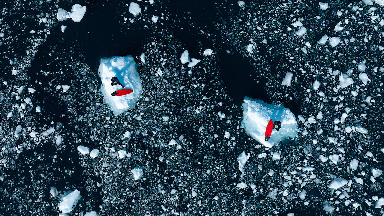 Antarctica - Domain One