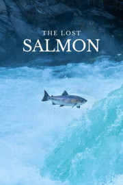 The Lost Salmon