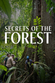 NOVA: Secrets of the Forest