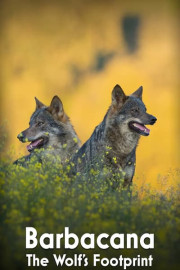 Barbacana: The Wolf's Footprint