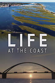 Life at the Coast