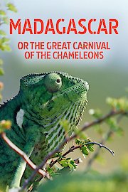 Madagascar or the Great Carnival of the Chameleons