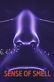 Sense of Smell