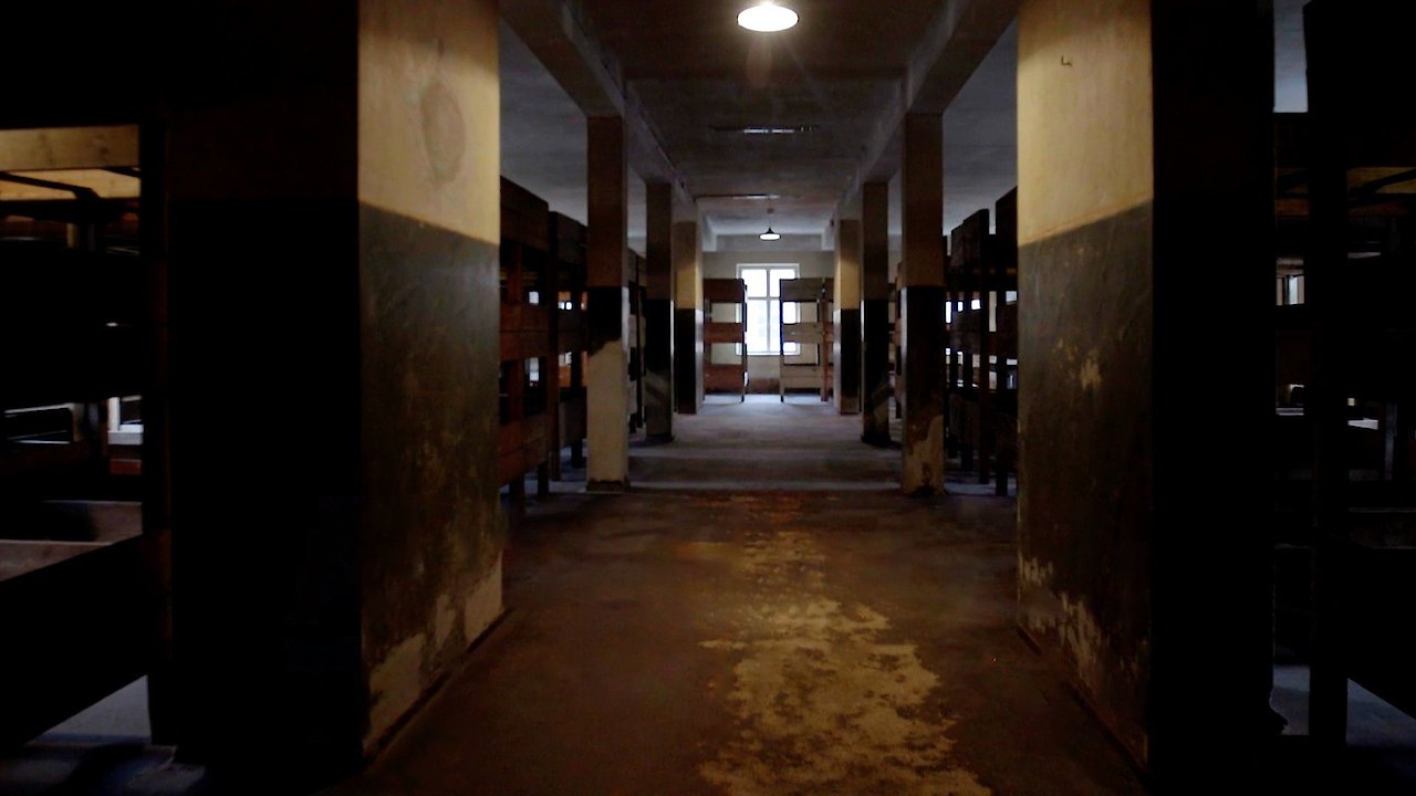 Auschwitz: The Inside Man