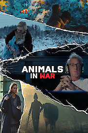 Animals in War