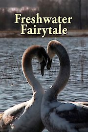 Freshwater Fairytale