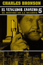 El justiciero de la ciudad V