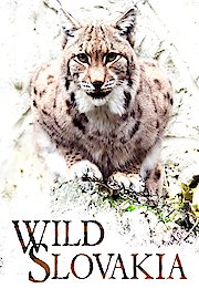 Wild Slovakia