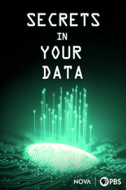NOVA: Secrets in Your Data