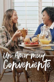 Un amor muy conveniente