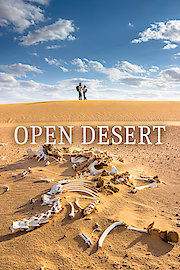 Open Desert
