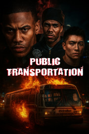 Public Transportation