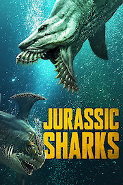 Jurassic Sharks