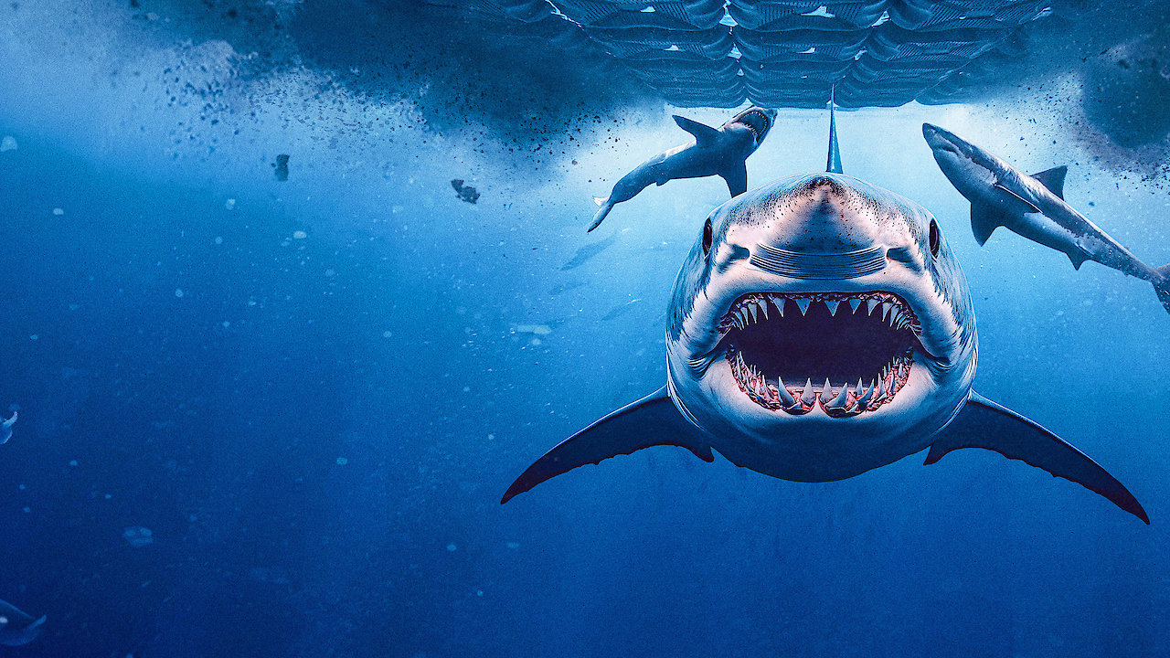 Chum Island: Catching a Killer