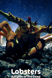 Lobsters: Knights of the Deep