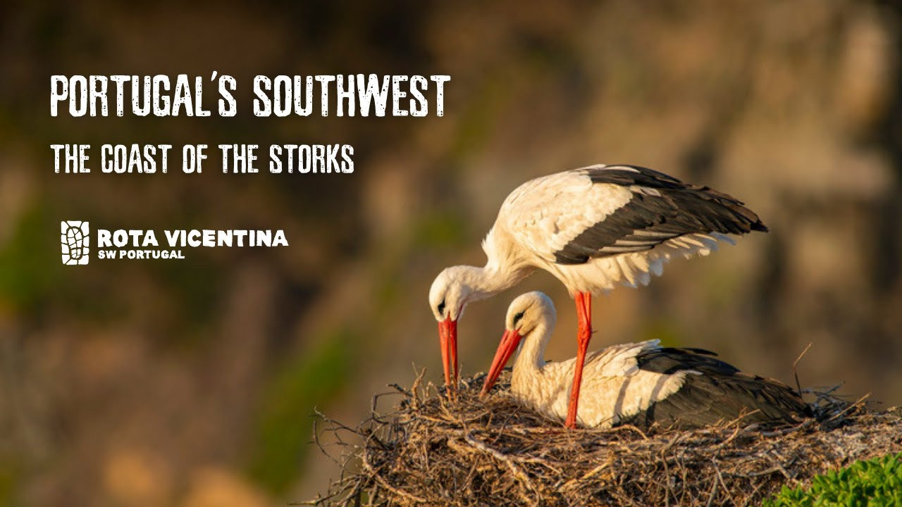 Portugal's Southwest: The Coast of the Storks