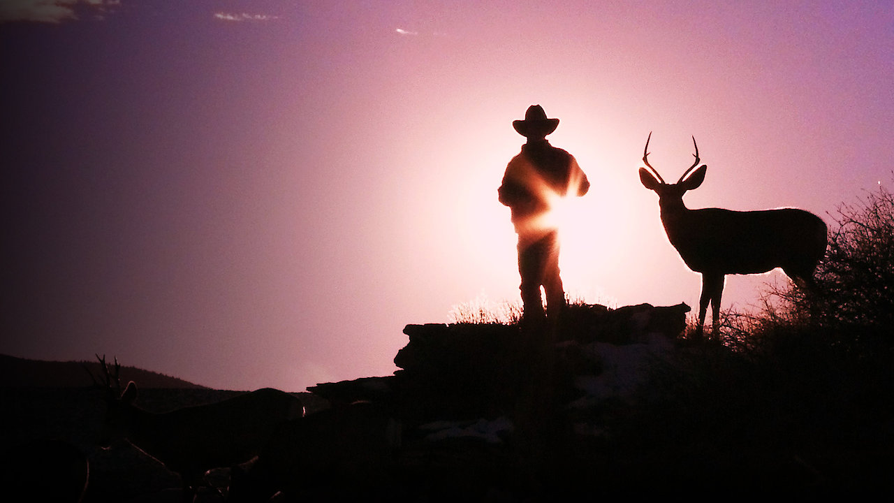 Touching the Wild: Living with the Mule Deer of Deadman Gulch