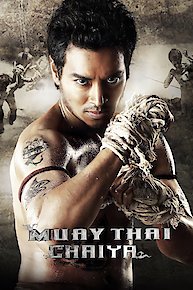 Muay Thai Fighter