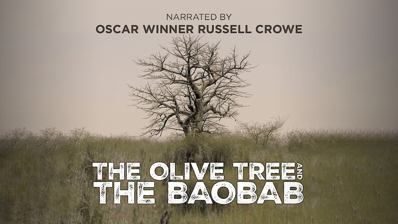 The Olive Tree and the Baobab
