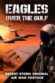 Eagles Over the Gulf: Desert Storm Original Air War Footage