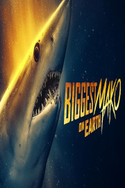 Biggest Mako on Earth