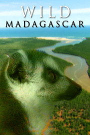 Destination Wild: Wild Madagascar