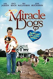 Miracle Dogs