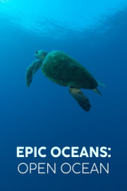 Epic Oceans: Open Ocean
