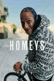 Homeys