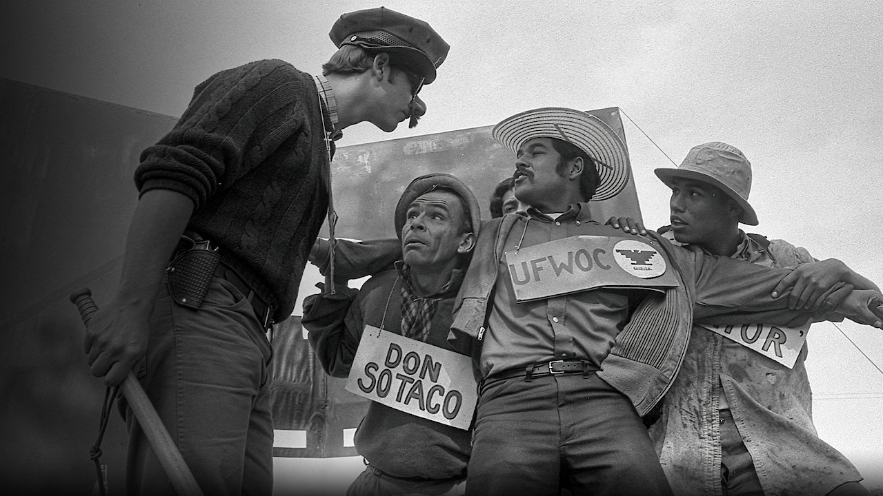 American Pachuco: The Legend of Luis Valdez