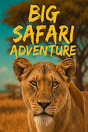 Big Safari Adventure
