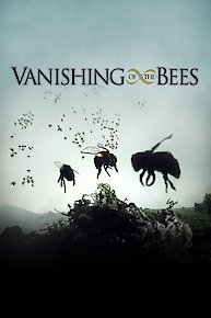 Vanishing of the Bees