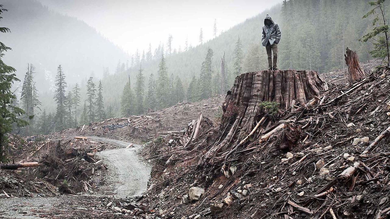 If a Tree Falls: A Story of the Earth Liberation Front