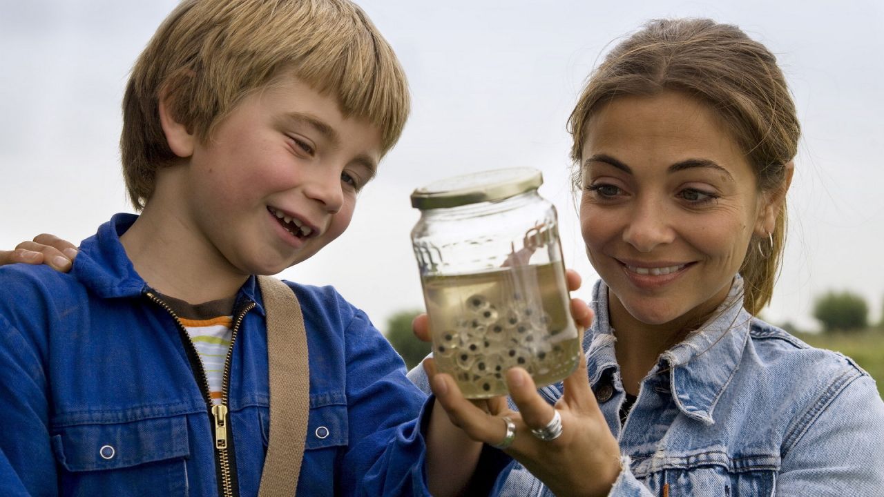 Frogs & Toads