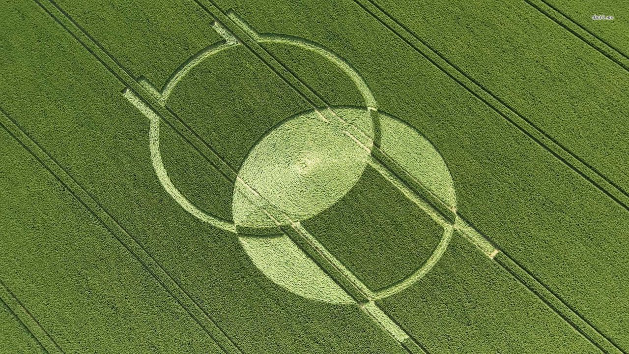 Crop Circles: Quest for Truth