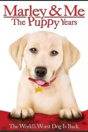 Marley and Me: The Puppy Years