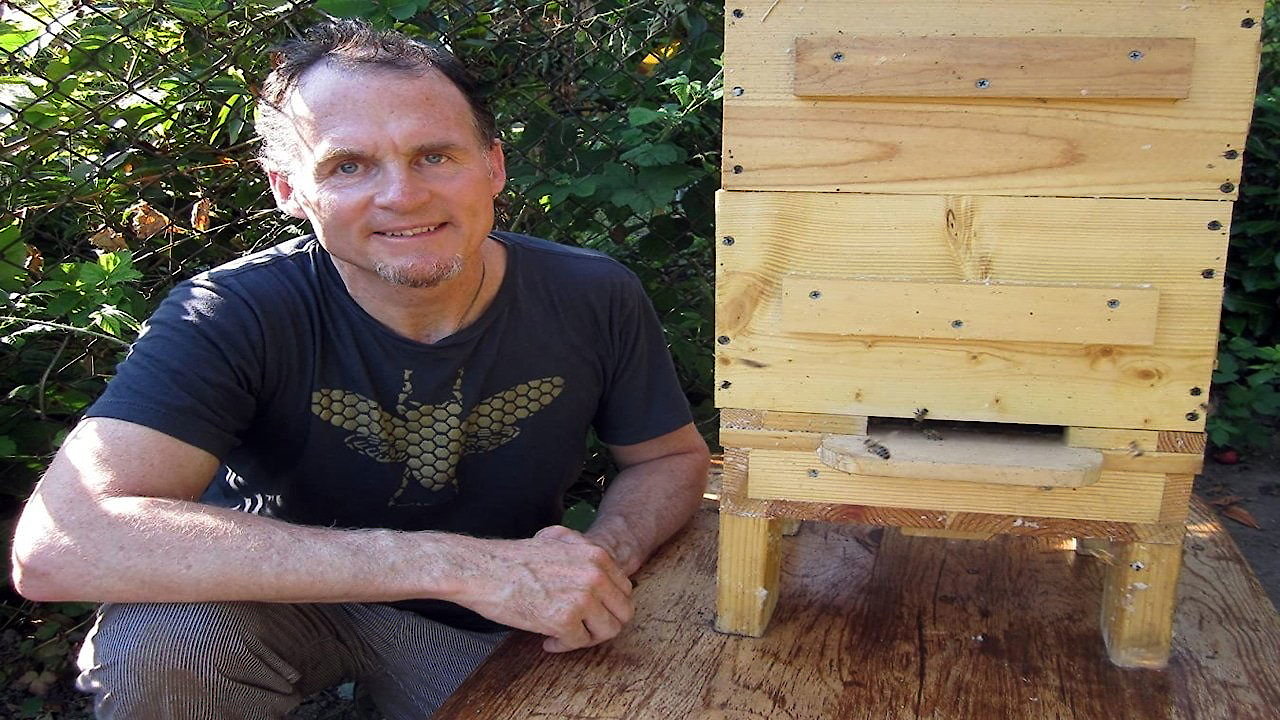 Queen of the Sun: What Are the Bees Telling Us?