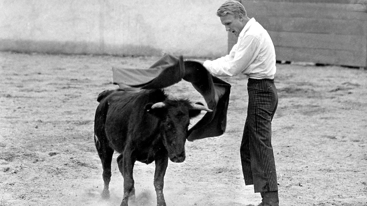 The Bullfighter and the Lady