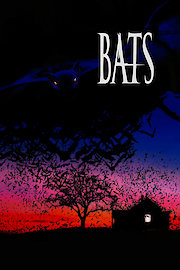 Bats