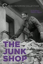 The Junk Shop