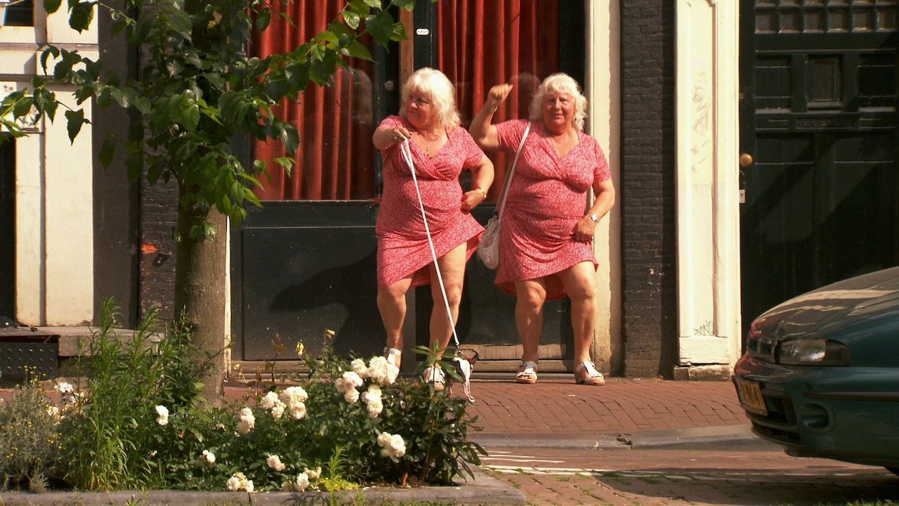 Meet the Fokkens
