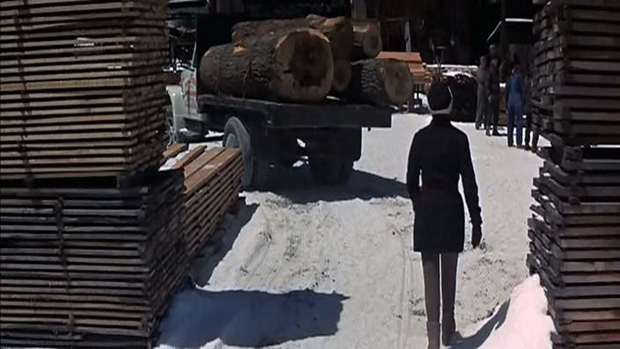 Walk in the Spring Rain