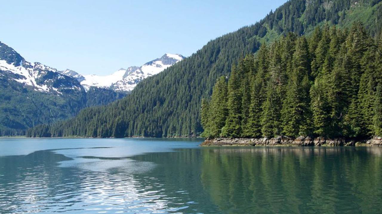 Alaska Wilderness Lake