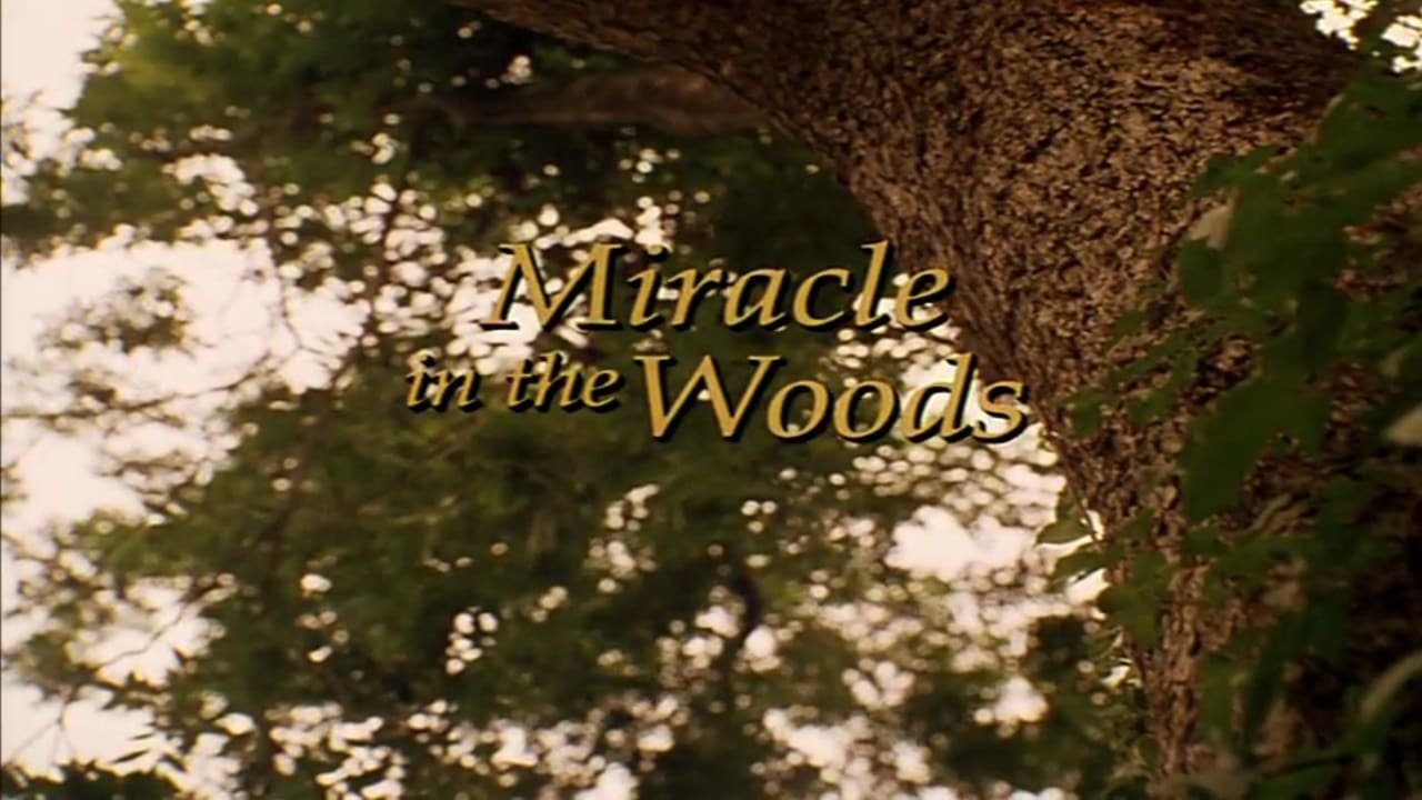 Miracle in the Woods